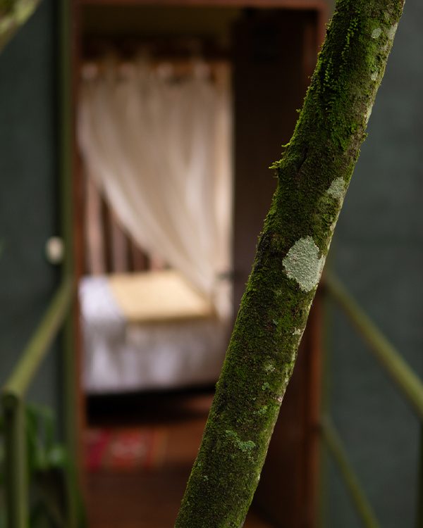 Glamping Espadero - interior